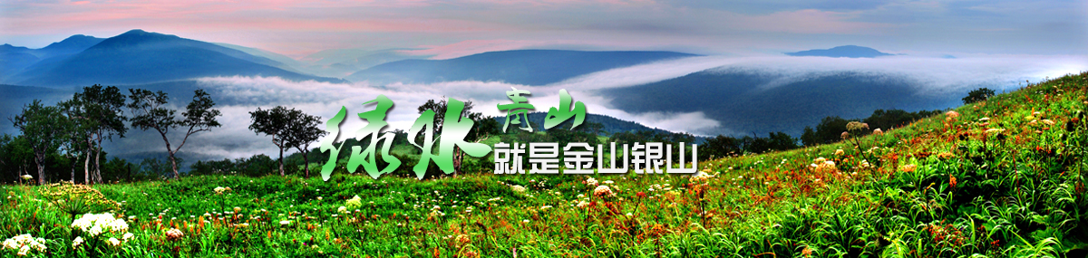 banner1.jpg