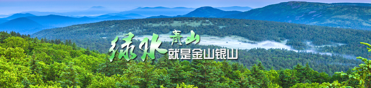 banner2.jpg